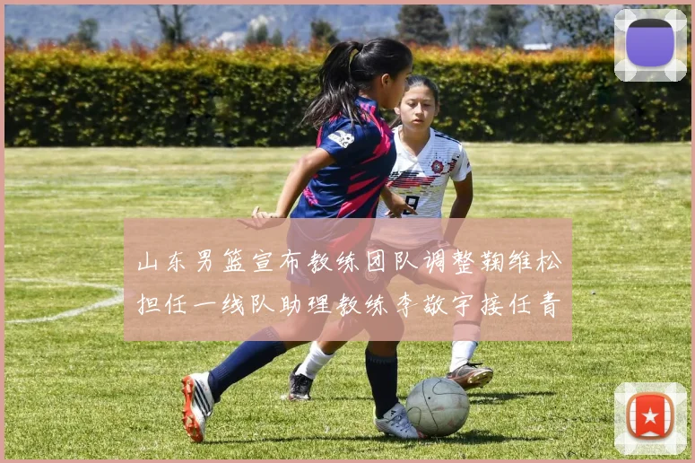山东男篮宣布教练团队调整鞠维松担任一线队助理教练李敬宇接任青年队主教练