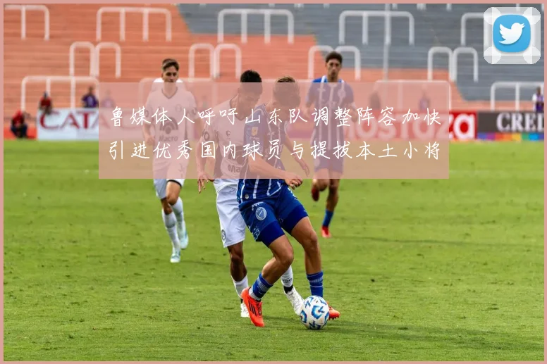 鲁媒体人呼吁山东队调整阵容加快引进优秀国内球员与提拔本土小将