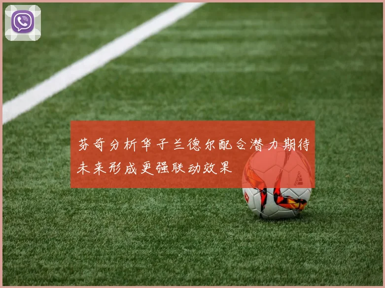 芬奇分析华子兰德尔配合潜力期待未来形成更强联动效果