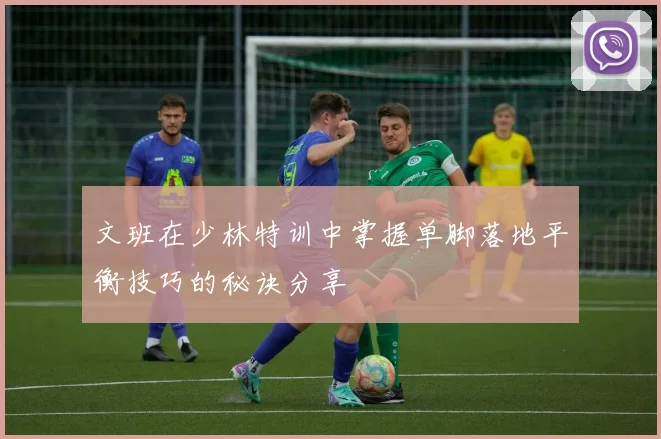 文班在少林特训中掌握单脚落地平衡技巧的秘诀分享